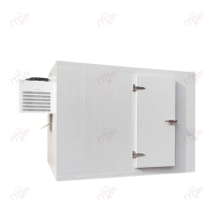 3T Mobile Cold Storage Container Freezer Room Walk In Cooler Storage Room For Fish Fruit Meat Walk In Freezer Room