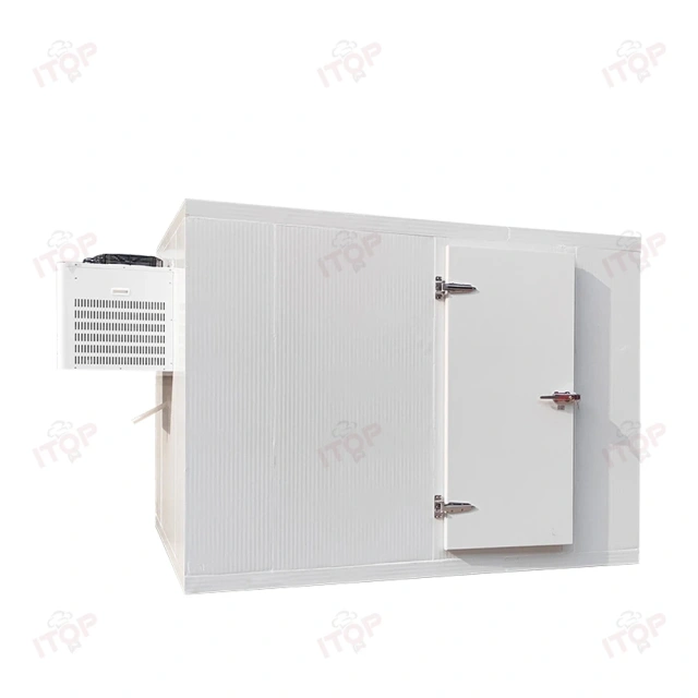3T Mobile Cold Storage Container Freezer Room Walk In Cooler Storage Room For Fish Fruit Meat Walk In Freezer Room