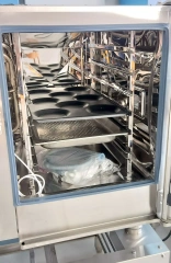 10 Trays Commercial Combi Steam Oven Hotel Industrial Electric Meat Roast Grill Oven Baking Cake Bread Pizza Convection Ovens