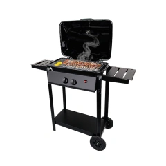 2 Burner Trolley Bbq Propane Gas Grill For Patio Garden Factory Portable Korean Gas Bbq Grill