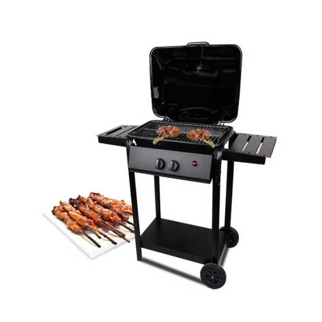2 Burner Trolley Bbq Propane Gas Grill For Patio Garden Factory Portable Korean Gas Bbq Grill
