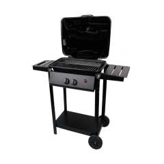 2 Burner Trolley Bbq Propane Gas Grill For Patio Garden Factory Portable Korean Gas Bbq Grill