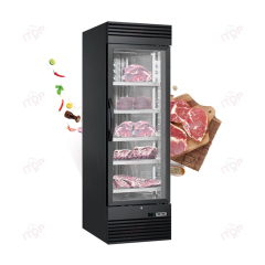 500L Single Door Display Cheese Meat Aging Curing Cabinet Salami Steak Ager Dry Age Fridge Beef Dry Aging Refrigerator