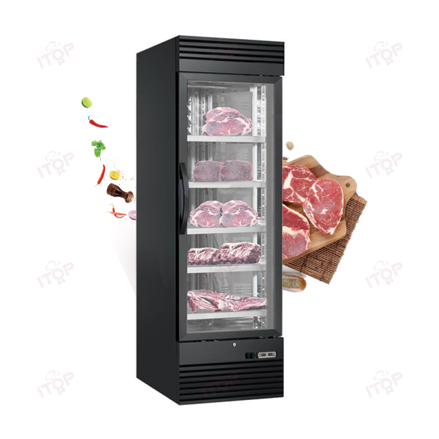 500L Single Door Display Cheese Meat Aging Curing Cabinet Salami Steak Ager Dry Age Fridge Beef Dry Aging Refrigerator