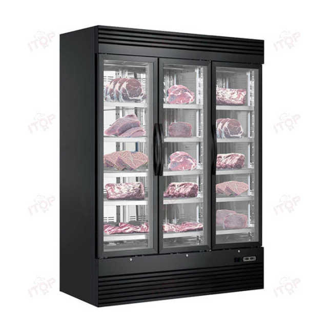 500L Single Door Display Cheese Meat Aging Curing Cabinet Salami Steak Ager Dry Age Fridge Beef Dry Aging Refrigerator