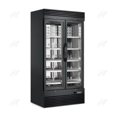 2-Door 1000L Volume Dry Age Fridge Beef Ager Commercial Salami Aging Fridge Dry Chest Freezers