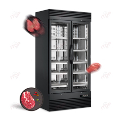 2-Door 1000L Volume Dry Age Fridge Beef Ager Commercial Salami Aging Fridge Dry Chest Freezers