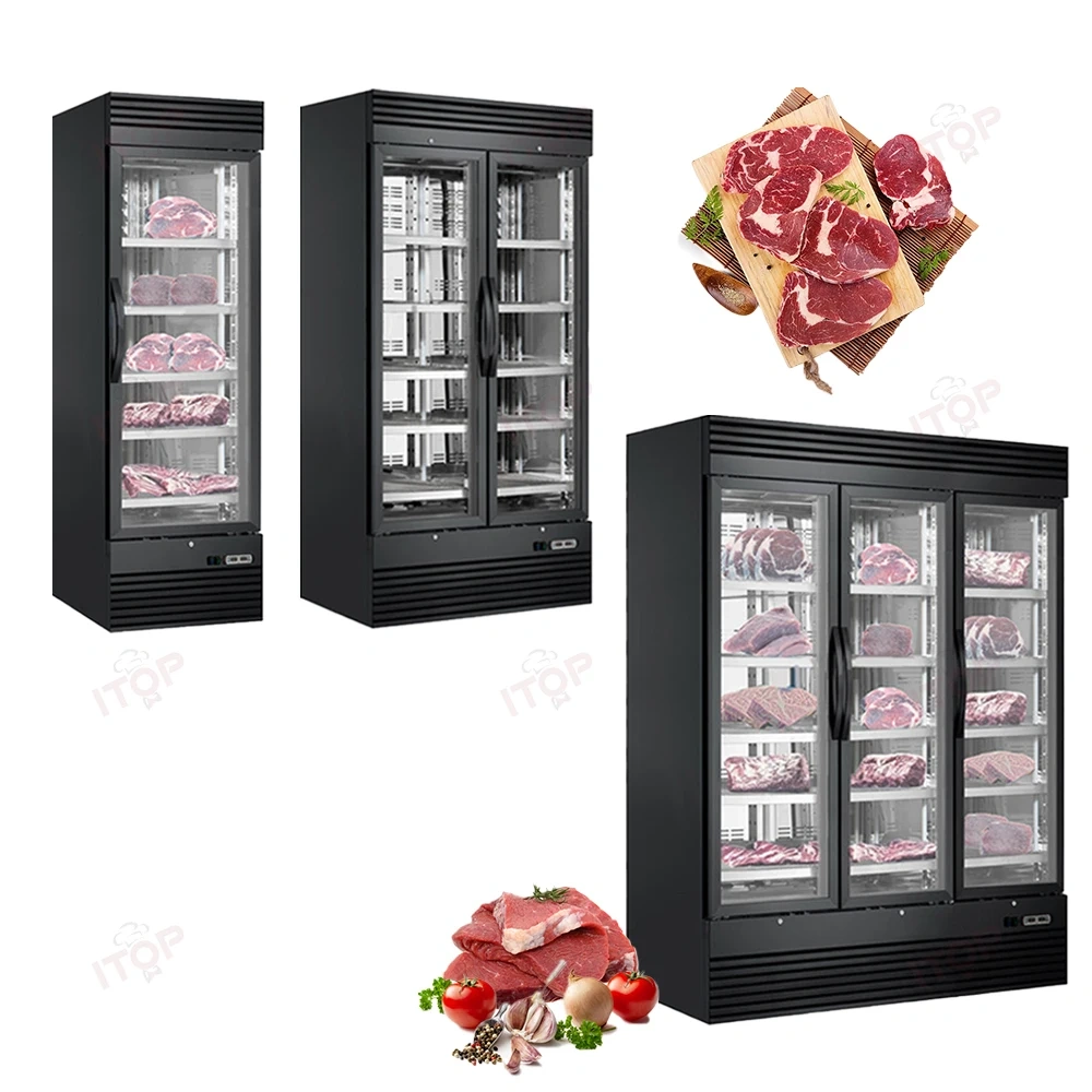 500L Single Door Display Cheese Meat Aging Curing Cabinet Salami Steak Ager Dry Age Fridge Beef Dry Aging Refrigerator