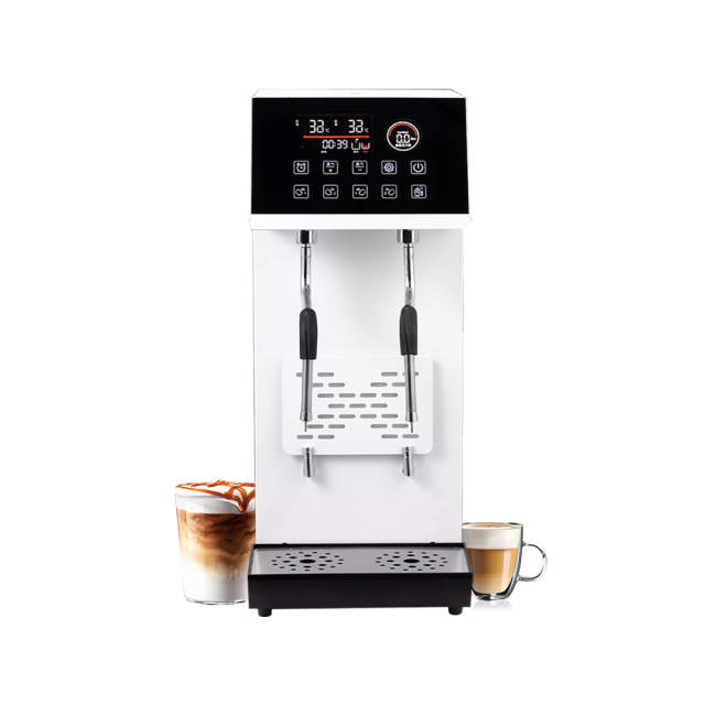 12l Boiler Dual Steam Frother Commercial Fully Automatic Tea And Coffee Shop Equipment Steam Milk Frother