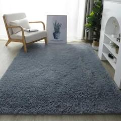 Carpet Gray Carpet for Living Room Plush Rug Bed Room Floor Fluffy Mats Anti-slip Home Decor Rugs Soft Velvet Carpets Kids Room Blanket