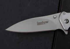 Kershaw 1730ss Assisted Folding Blade Knife