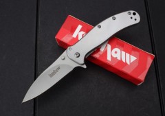 Kershaw 1730ss Assisted Folding Blade Knife