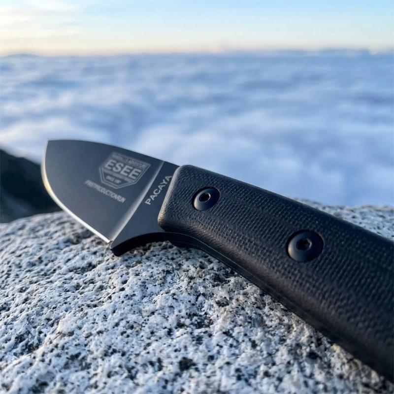 ESEE Knives Pacaya Fixed Blade Knife 3.03" D2 Drop Point Blade, G10 Handles, Kydex Sheath with Clip Plate
