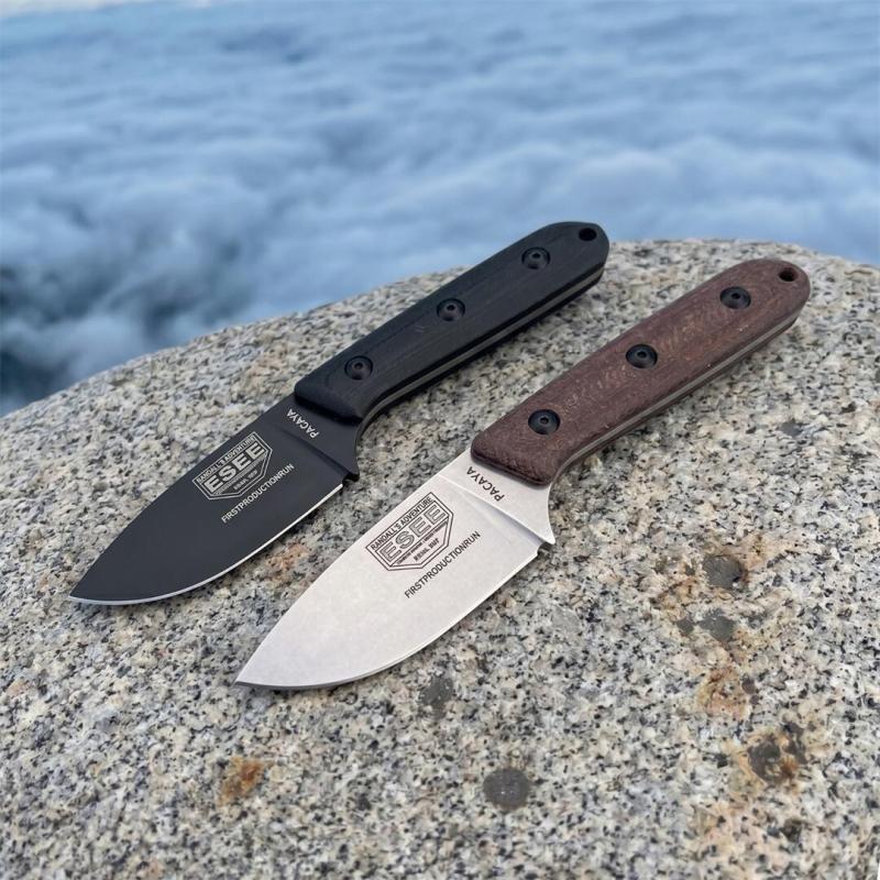 ESEE Knives Pacaya Fixed Blade Knife 3.03" D2 Drop Point Blade, G10 Handles, Kydex Sheath with Clip Plate