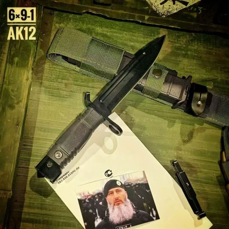 Classical AK12 Fixed Knife 6.5" 440C Blade, ABS Handles