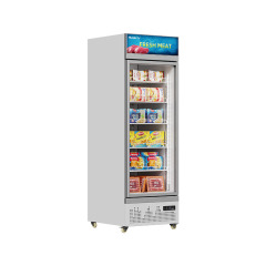 HR-29LDM Supermarket seafood meat upright single door display glass door freezer refrigerator