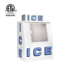 Ice storage bin