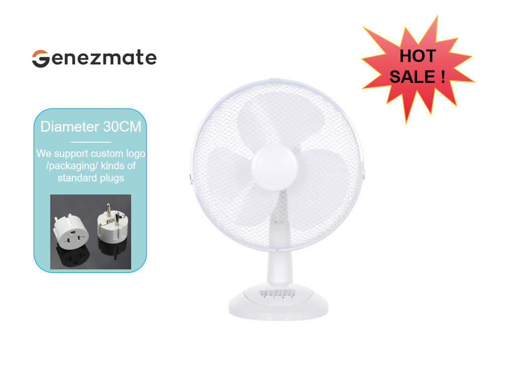 30cm Desk Fan