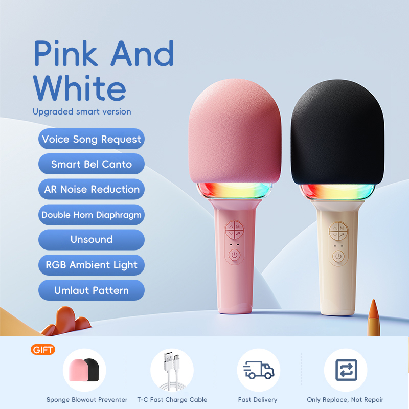 Kids Karaoke Microphone