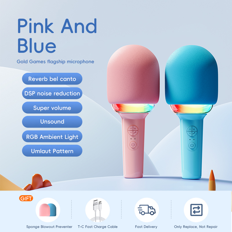 Kids Karaoke Microphone