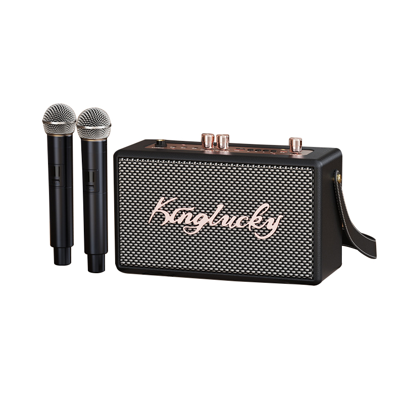 Kinglucky S16 Good Karaoke Machines for Home
