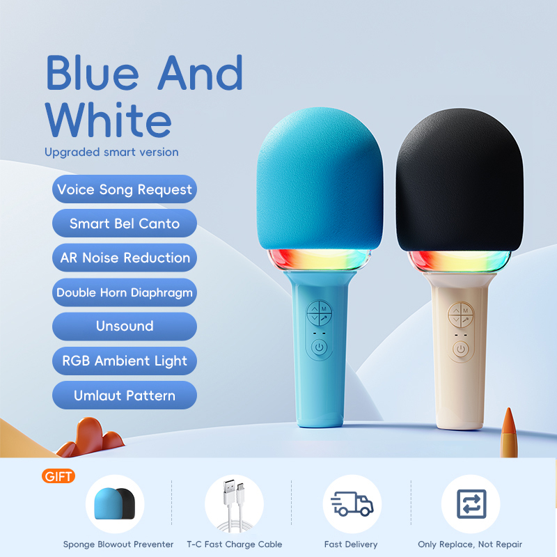 Kids Karaoke Microphone