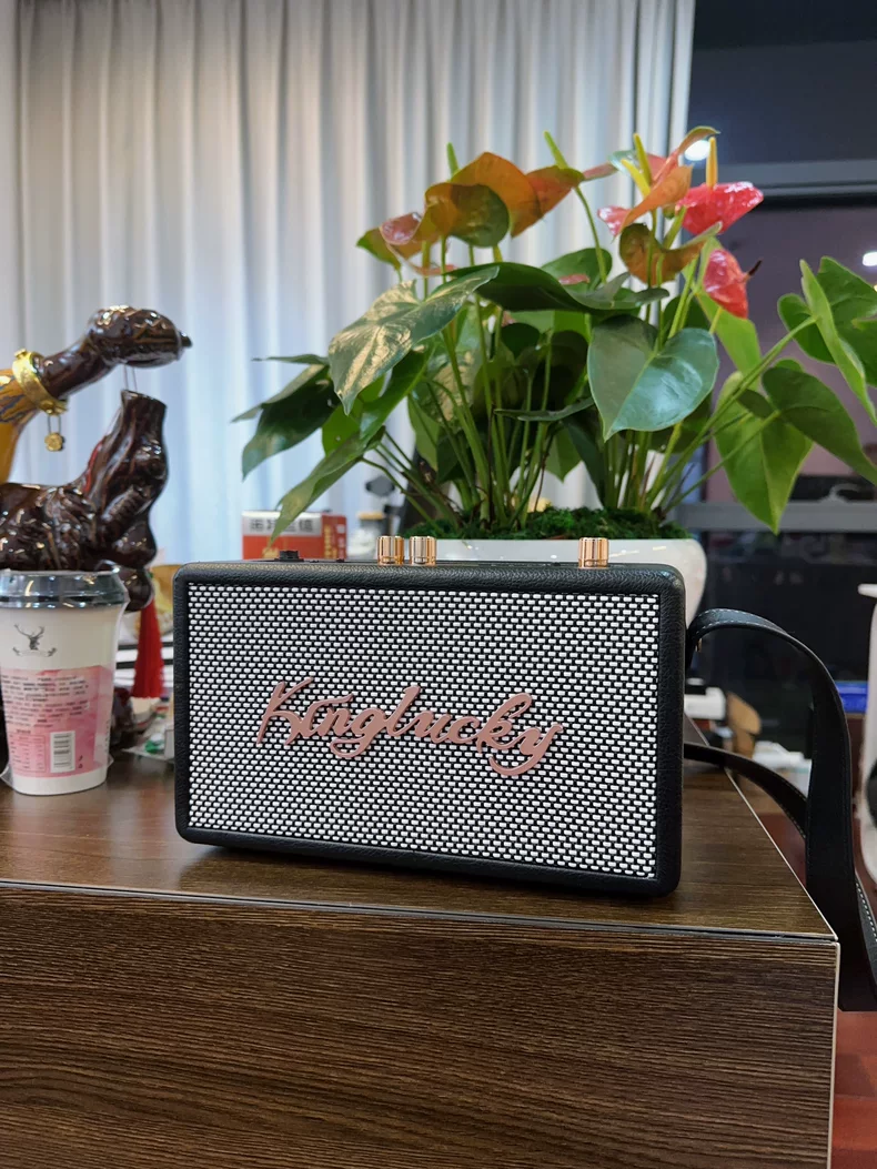 Karaoke Machine