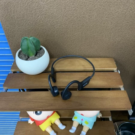 Bone conduction headphones