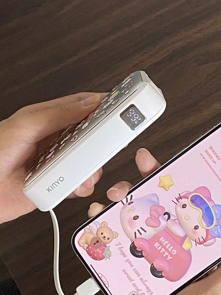 Power Bank