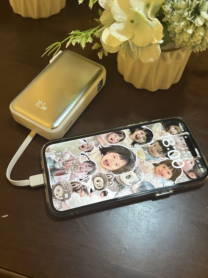 Power Bank