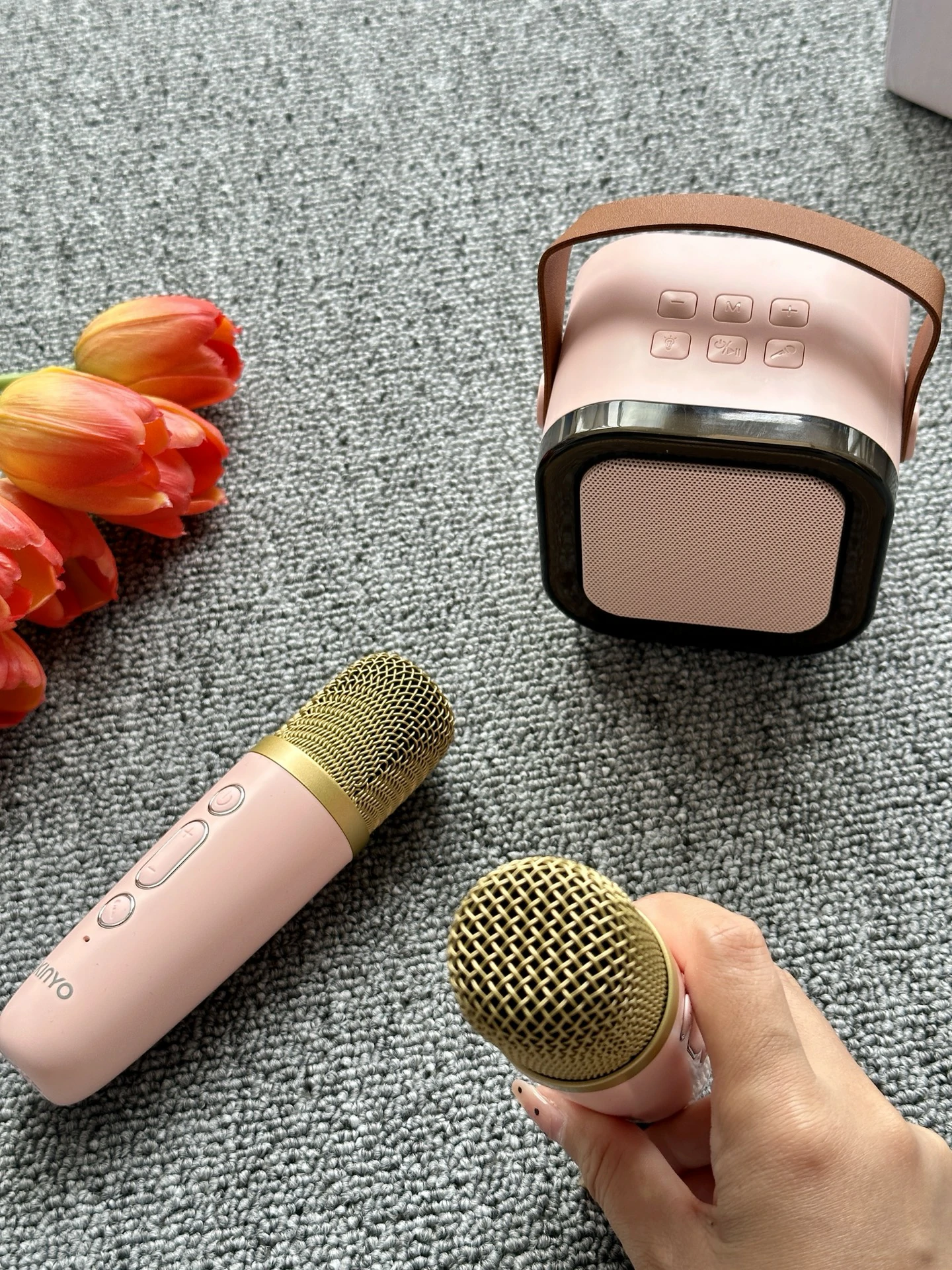 Mini Karaoke Machine