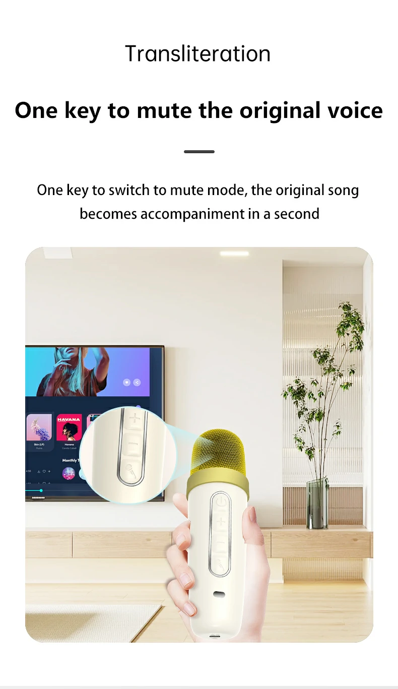 Karaoke Machine with Screen