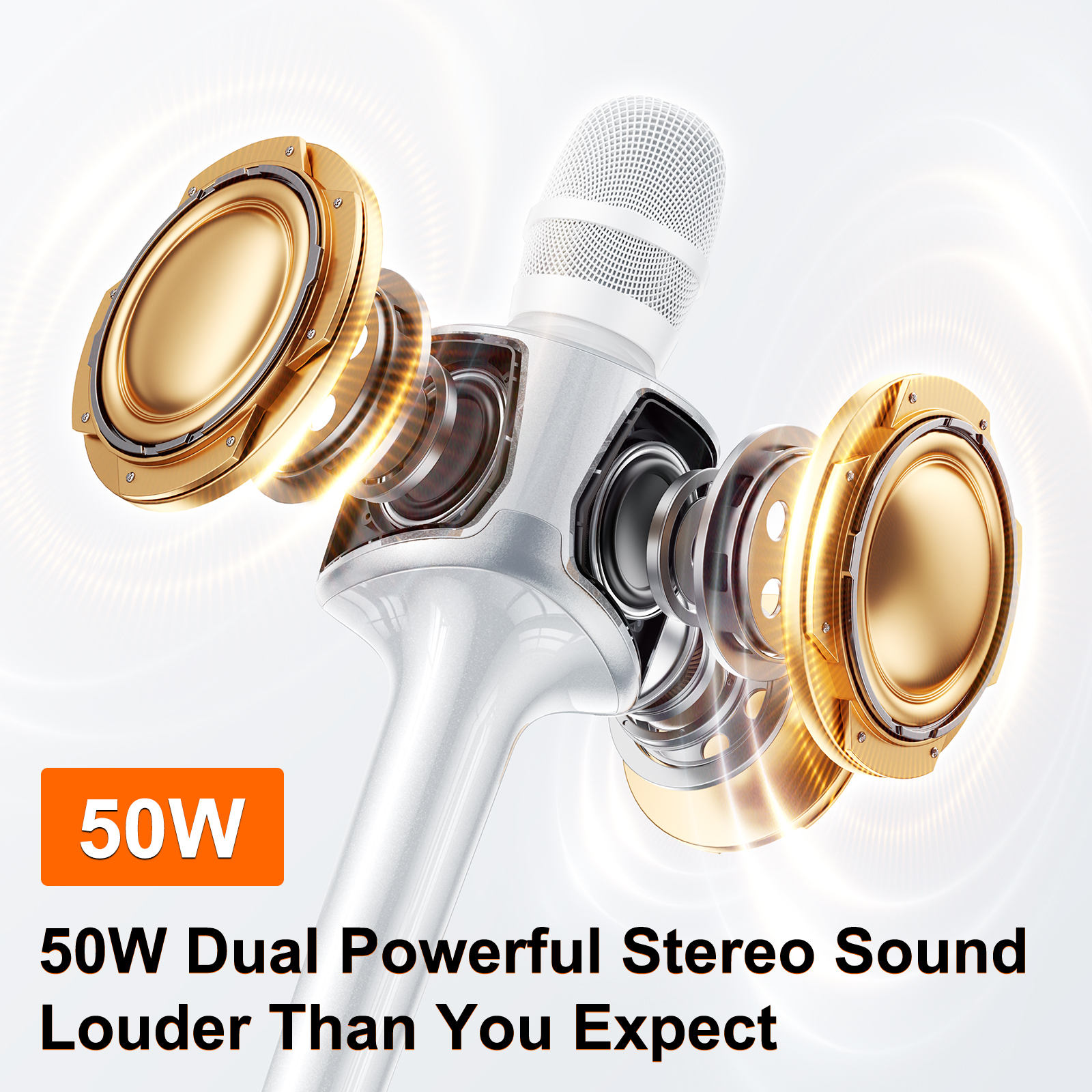Kinglucky H100 Karaoke Microphone