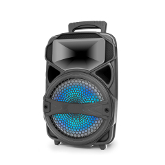 PT600 Portable Karaoke Speaker Outdoor Performance