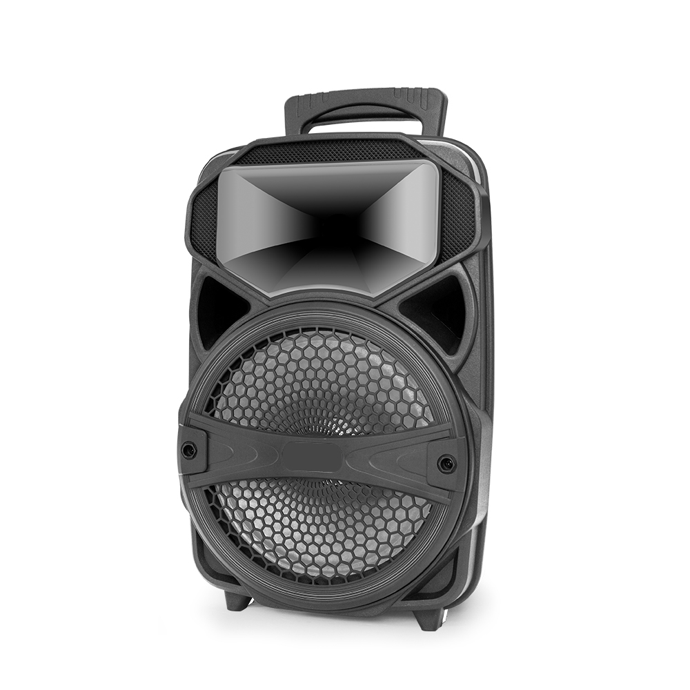 PT600 Bluetooth Party Speaker Led Lights On