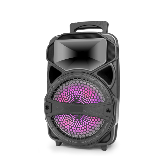 PT600 Portable Karaoke Speaker Family Party