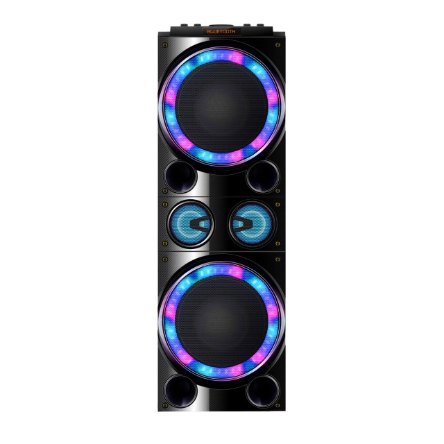 Dual 10" Party Speaker PT91002