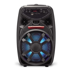 PT862 Portable 6.5 Inch Trolley Speaker for Outdoor Karaoke DJ Events