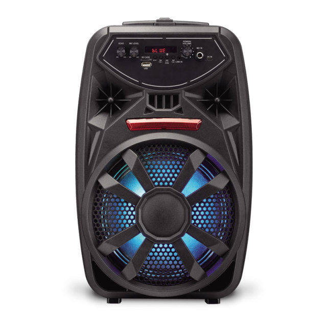 PT862 Portable 6.5 Inch Trolley Speaker for Outdoor Karaoke DJ Events