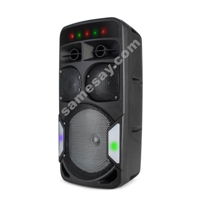 PT1203 Outdoor party speaker Portable party speaker