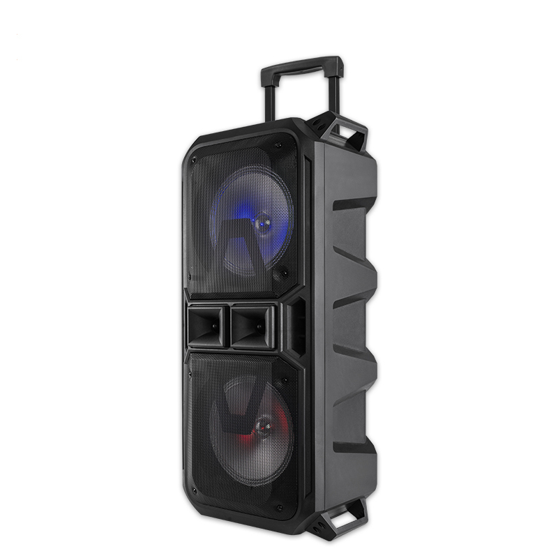 PT980 Loud portable speaker