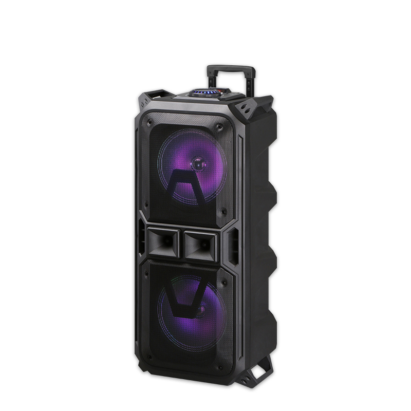 PT980 Bluetooth speaker with bass