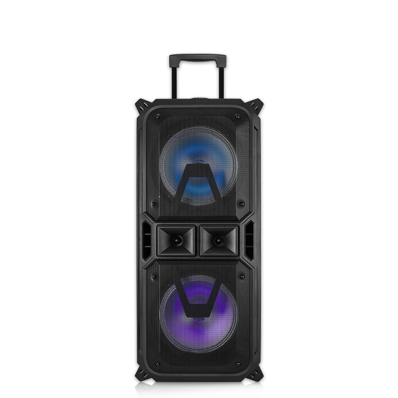 PT980 Outdoor music system