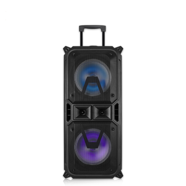 PT980 Outdoor music system