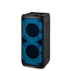 PT987 portable party speaker USB TF play