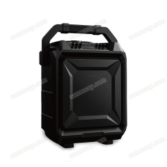 PT860A Portable Bluetooth Speaker Front View