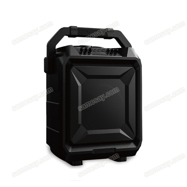 PT860A Portable Bluetooth Speaker Front View