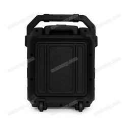 PT860A Portable Bluetooth Speaker Back View