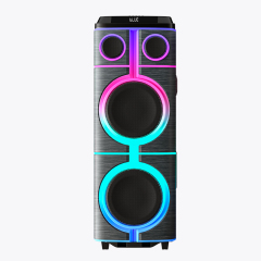 Dual 12" Power Party Speaker PT91203