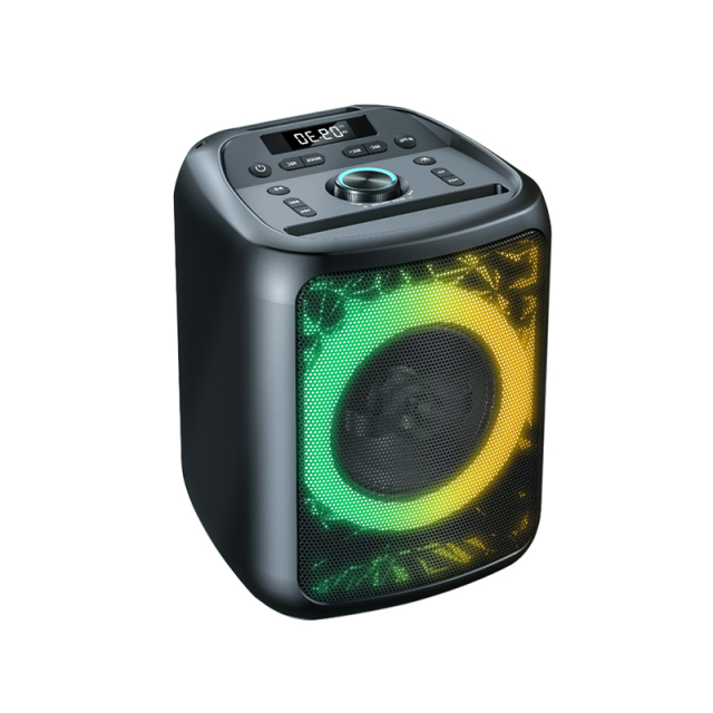 Portable 6.5'' Party Speaker PT608